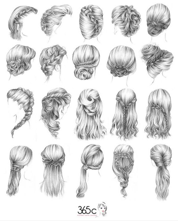 Braid Hairstyles Drawing Images