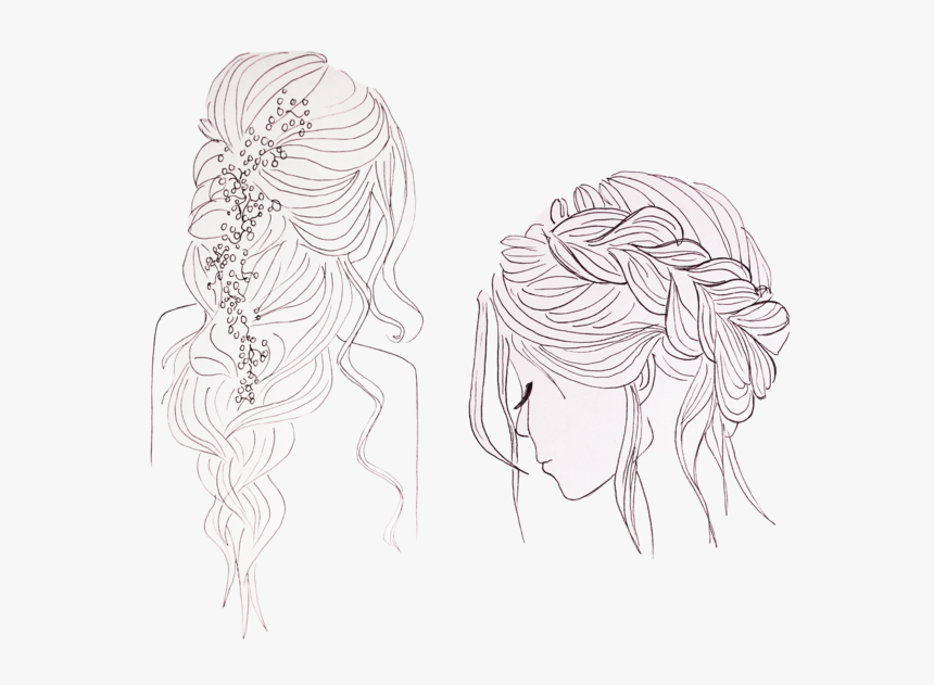 Braided Hair Drawing High-Quality