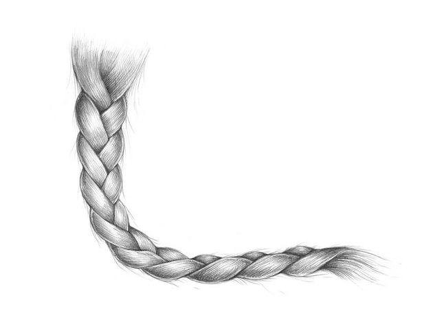 Braids Drawing Pic