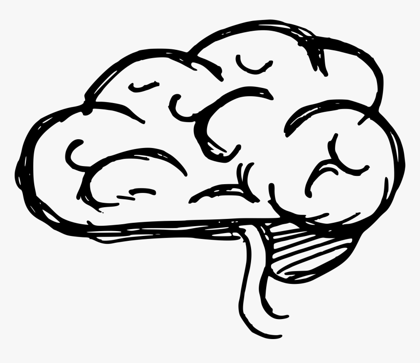 Brain Cartoon Drawing