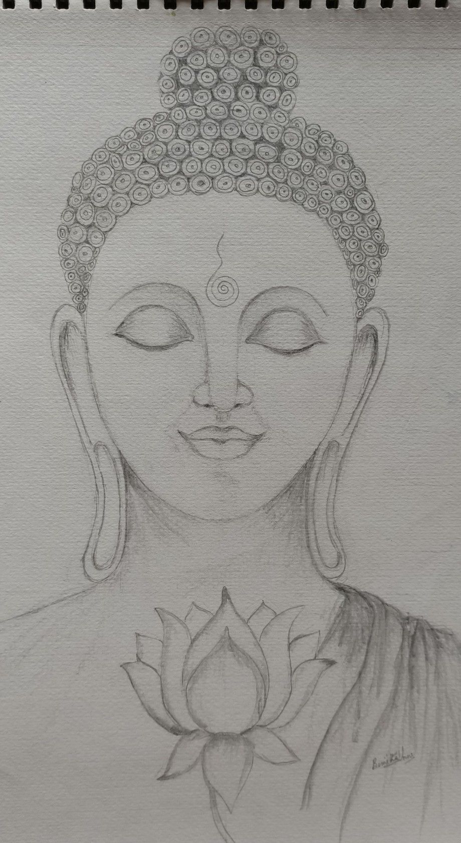 Buddha Drawing Picture