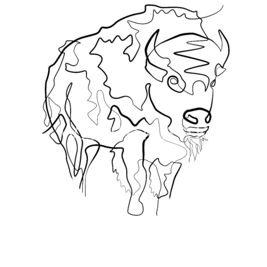 Buffalo Drawing Picture