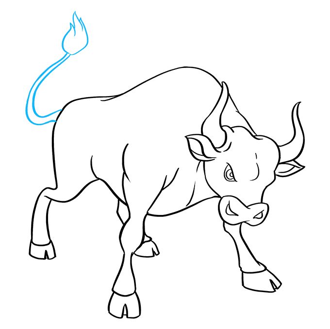 Bull Drawing Art