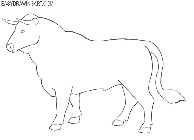 Bull Drawing Image