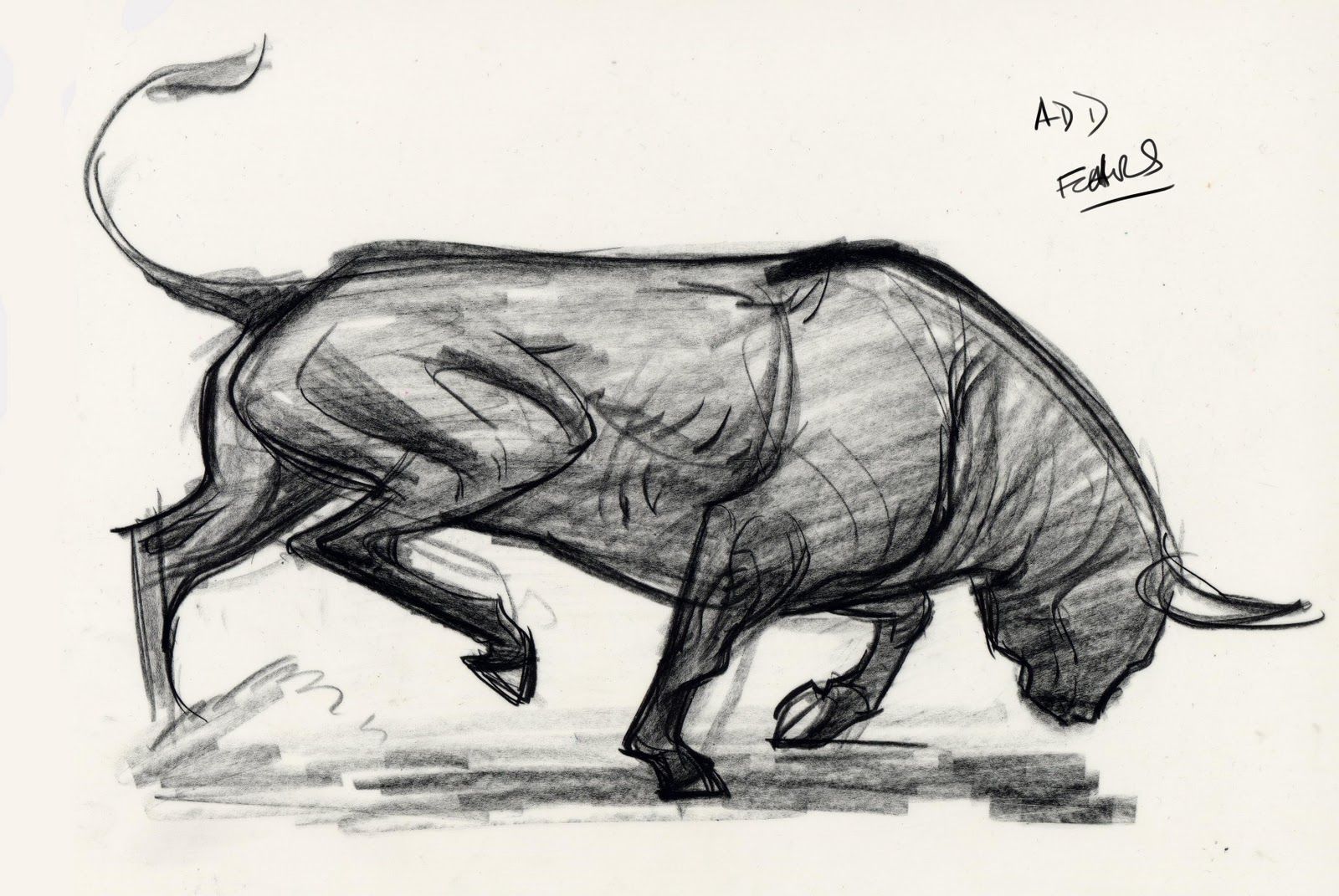 Bull Drawing