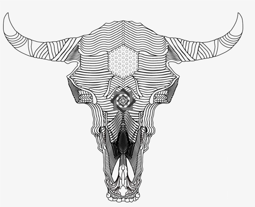 Bull Skull Art Drawing