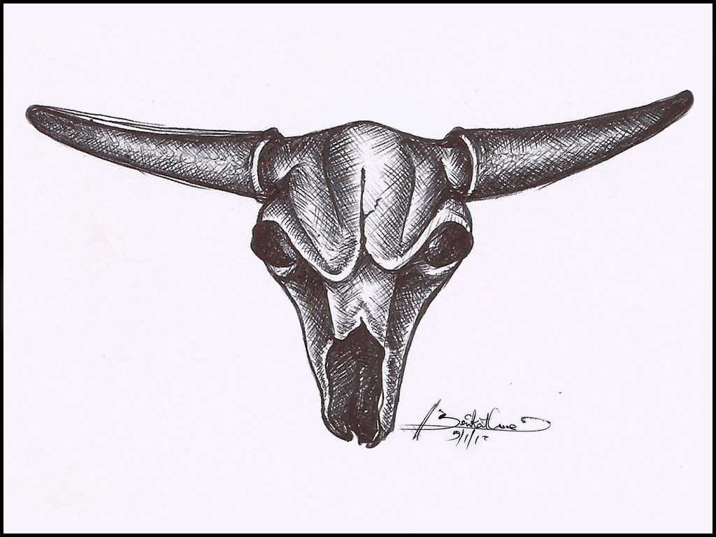Bull Skull Drawing Amazing