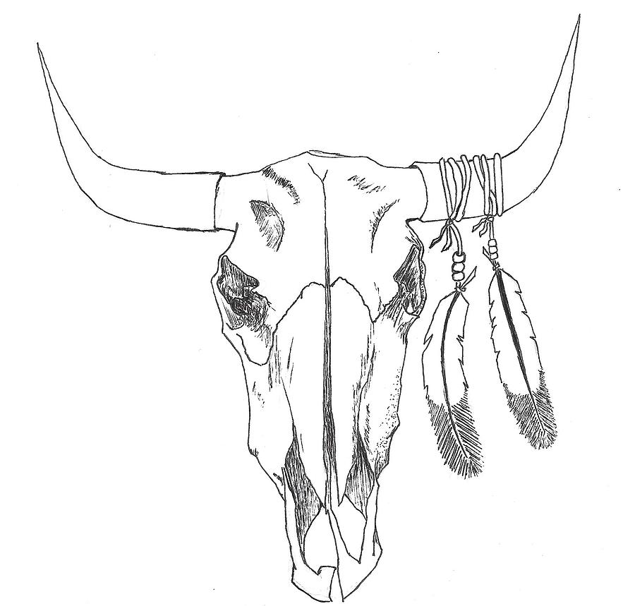 Bull Skull Drawing Beautiful Art
