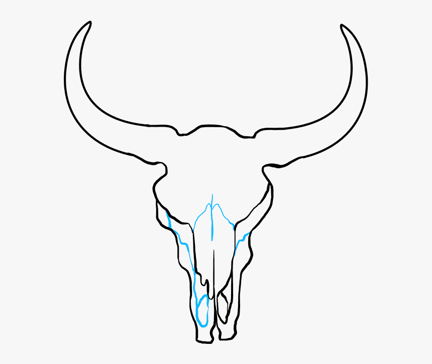 Bull Skull Drawing Image