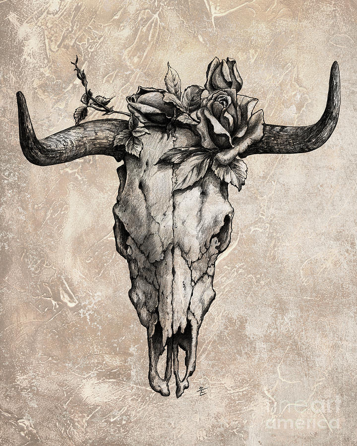 Bull Skull Drawing Picture