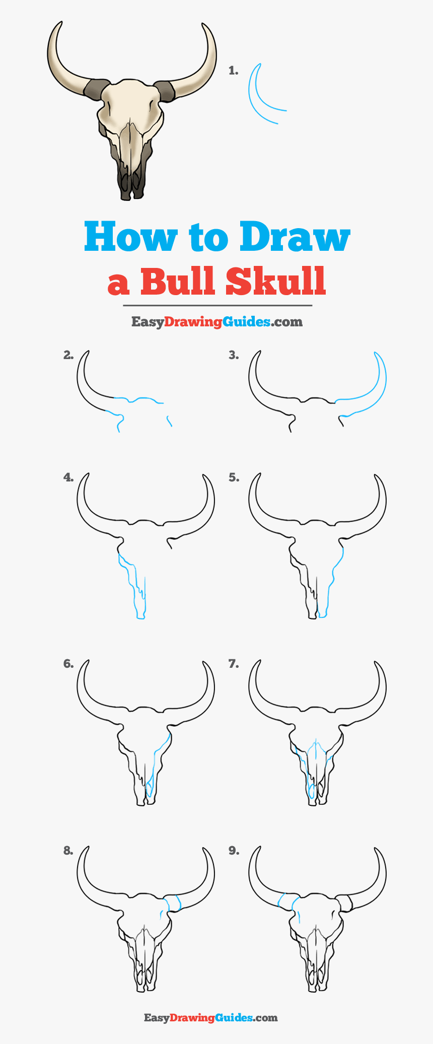 Bull Skull Drawing Pictures