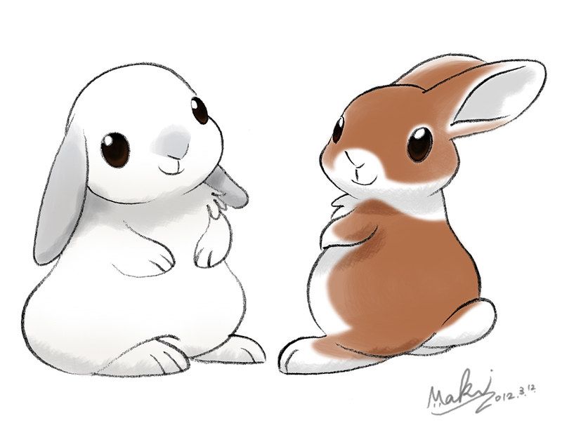 Bunny Cartoon Best Drawing