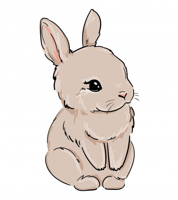 Bunny Cartoon Drawing Amazing