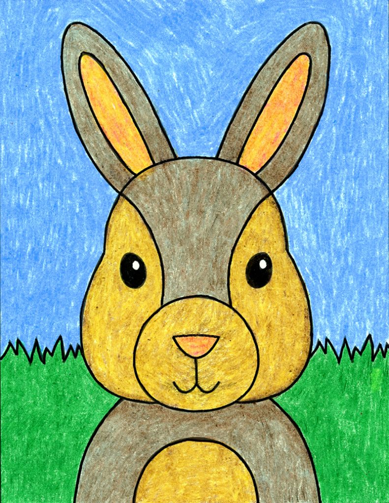 Bunny Cartoon Drawing Beautiful Art