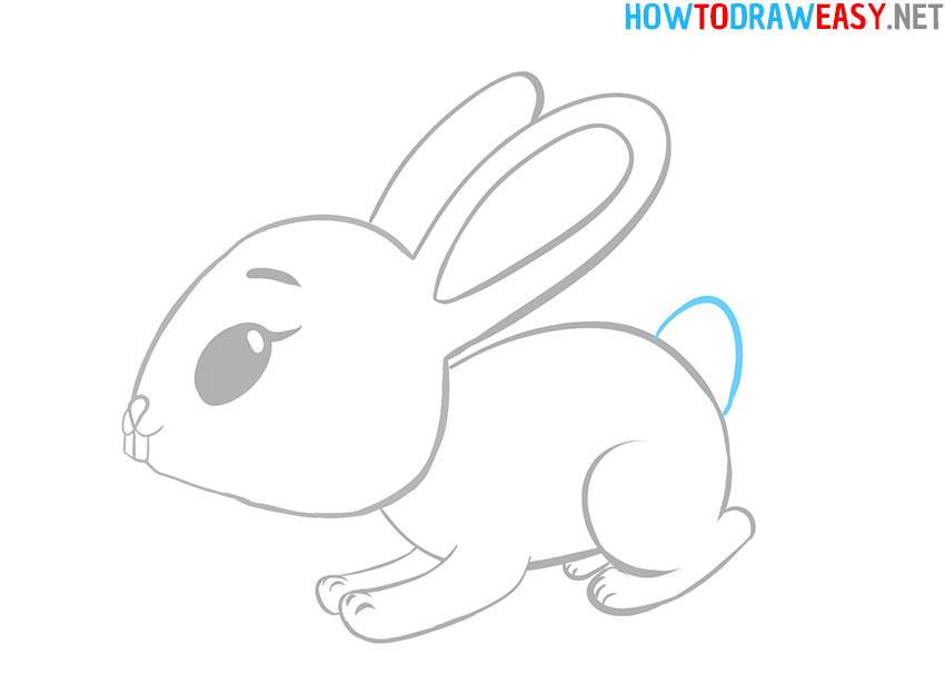 Bunny Cartoon Drawing Photo