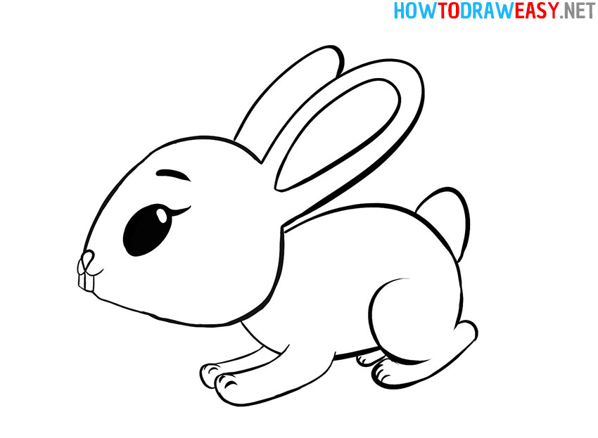Bunny Cartoon Drawing Sketch