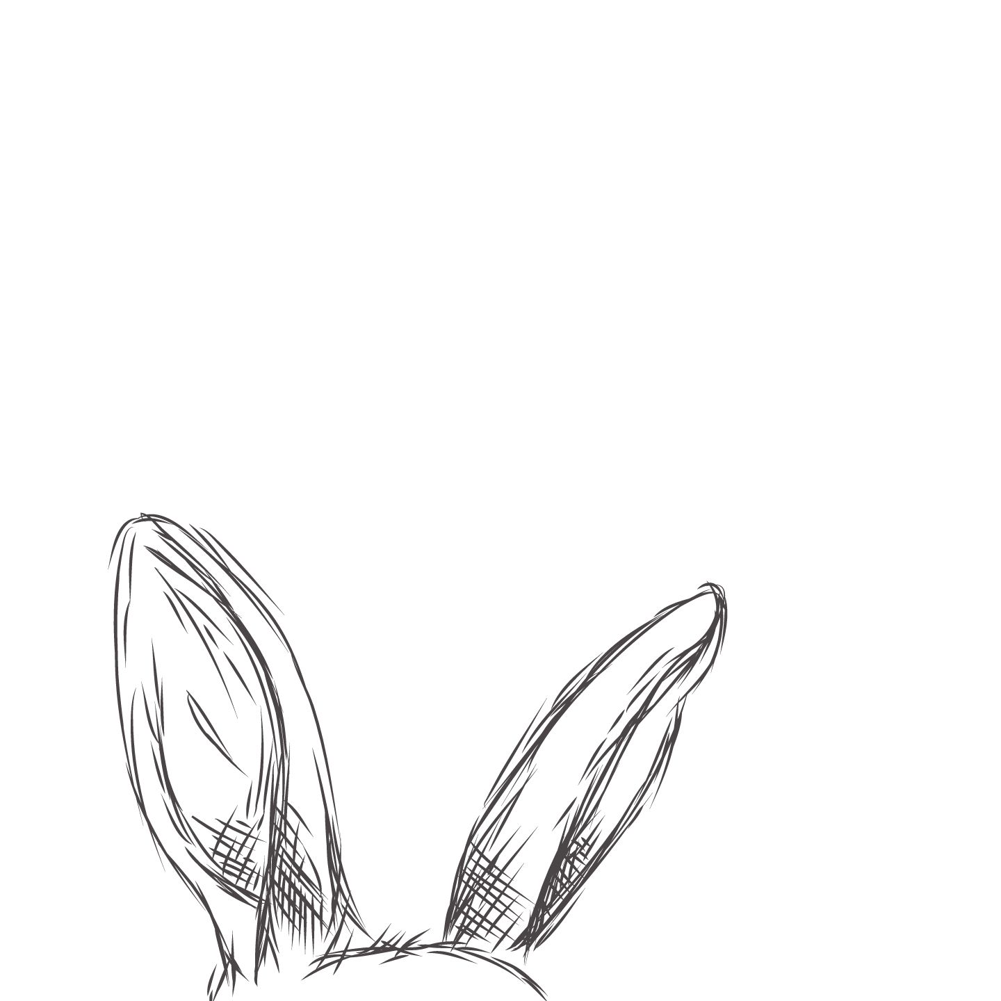 Bunny Ear Drawing Image