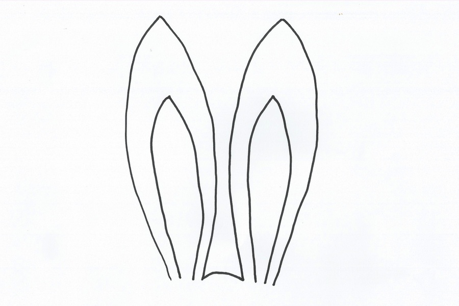 Bunny Ear Drawing Photo