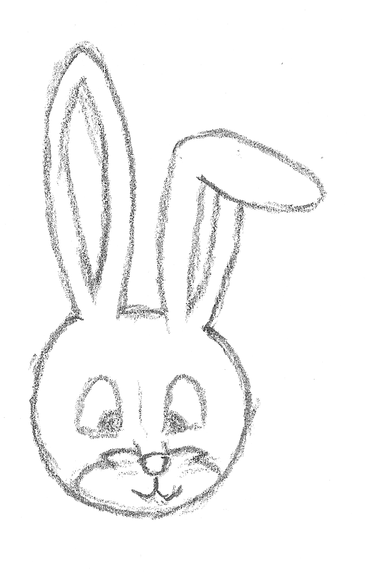 Bunny Face Drawing Amazing