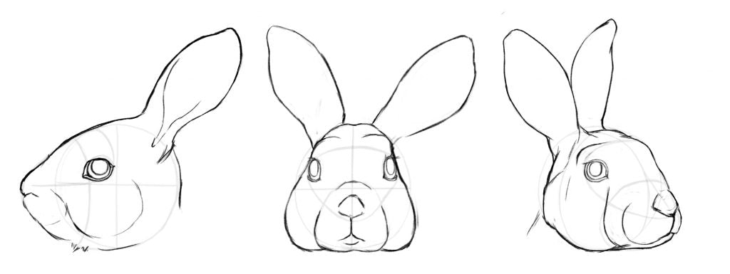 Bunny Face Drawing Art