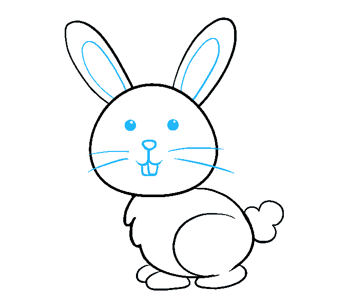 Bunny Rabbit Drawing Beautiful Image