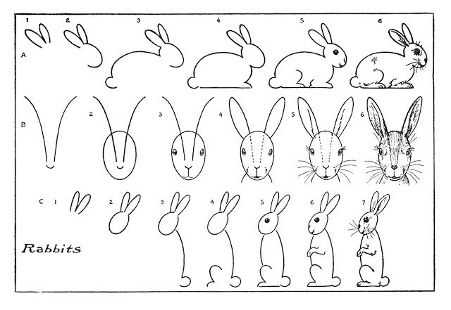 Bunny Rabbit Drawing High-Quality