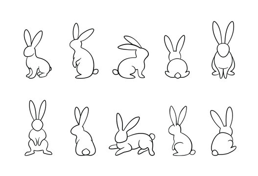 Bunny Rabbit Drawing Sketch