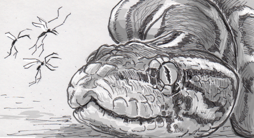 Burmese Python Art Drawing