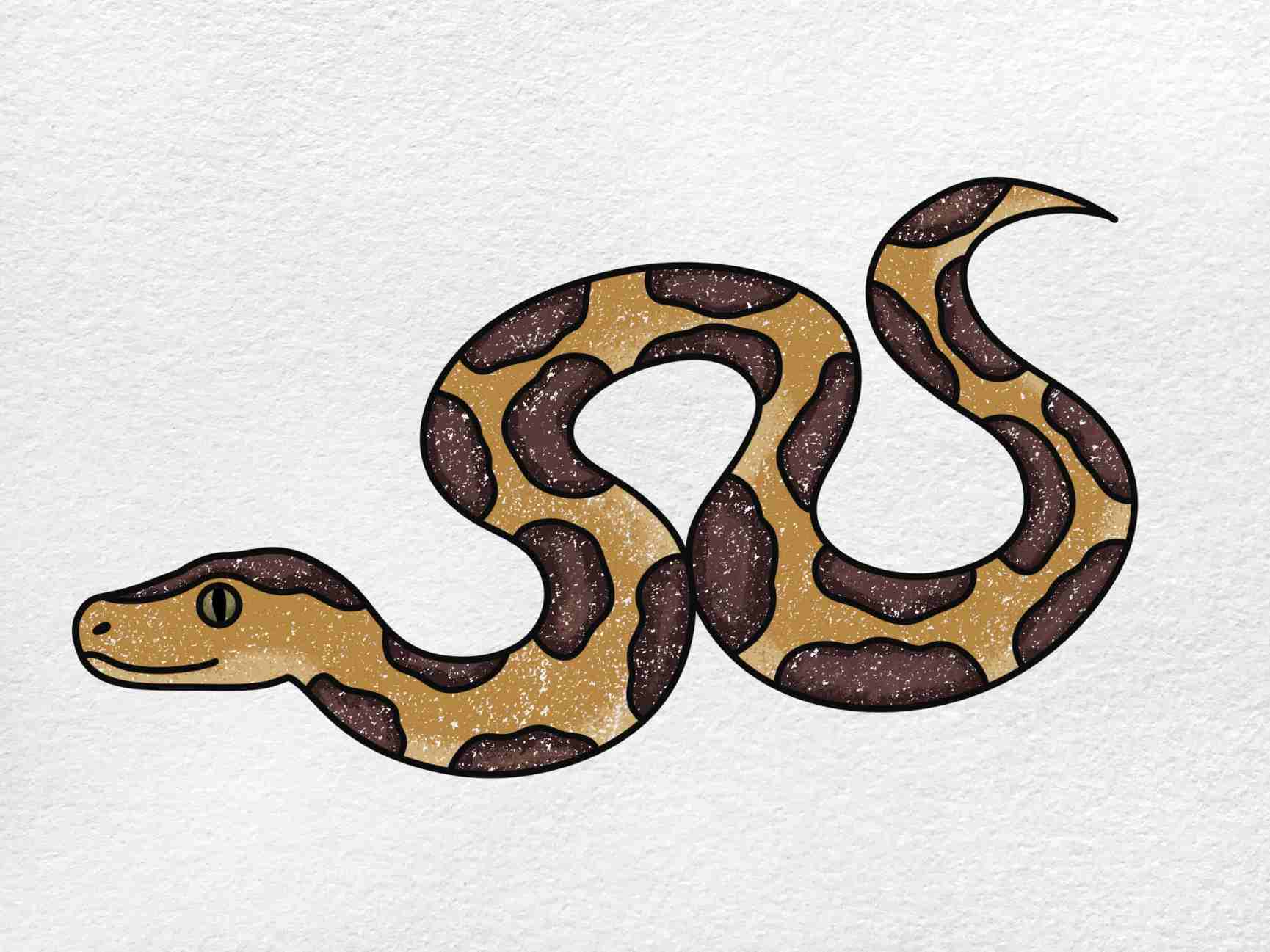 Burmese Python Drawing Art