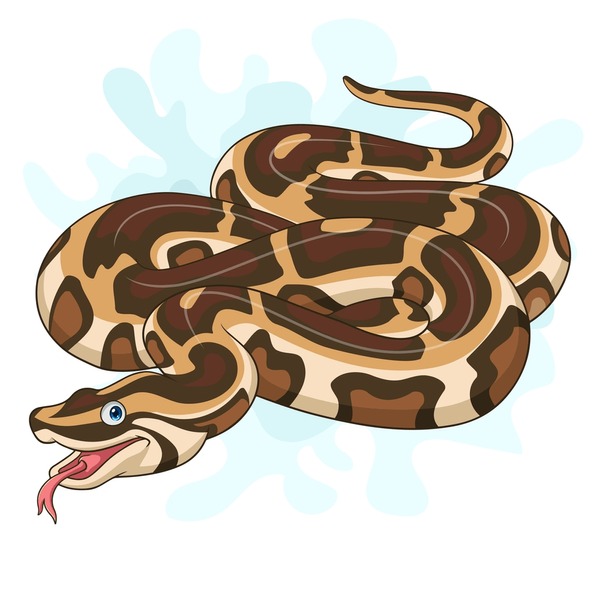 Burmese Python Drawing Beautiful Art