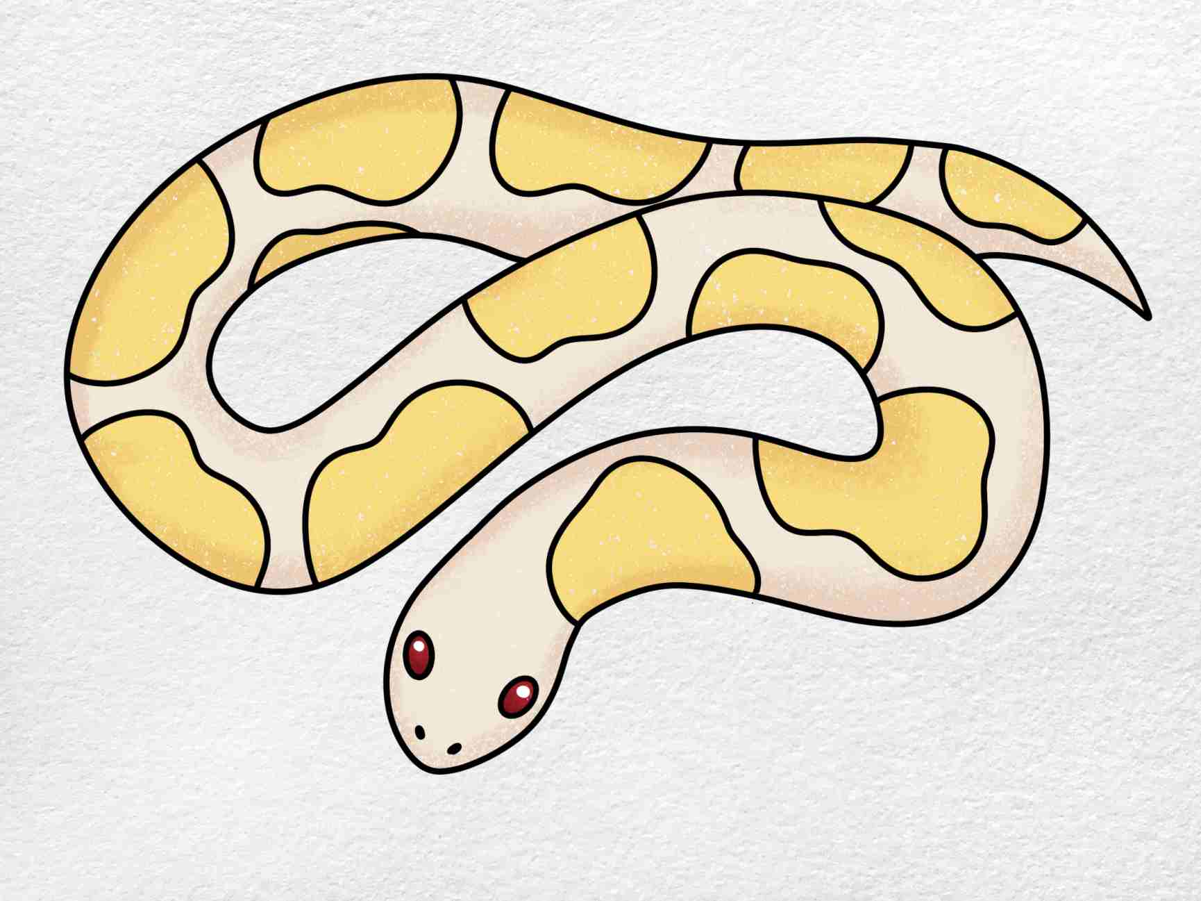 Burmese Python Drawing Photo