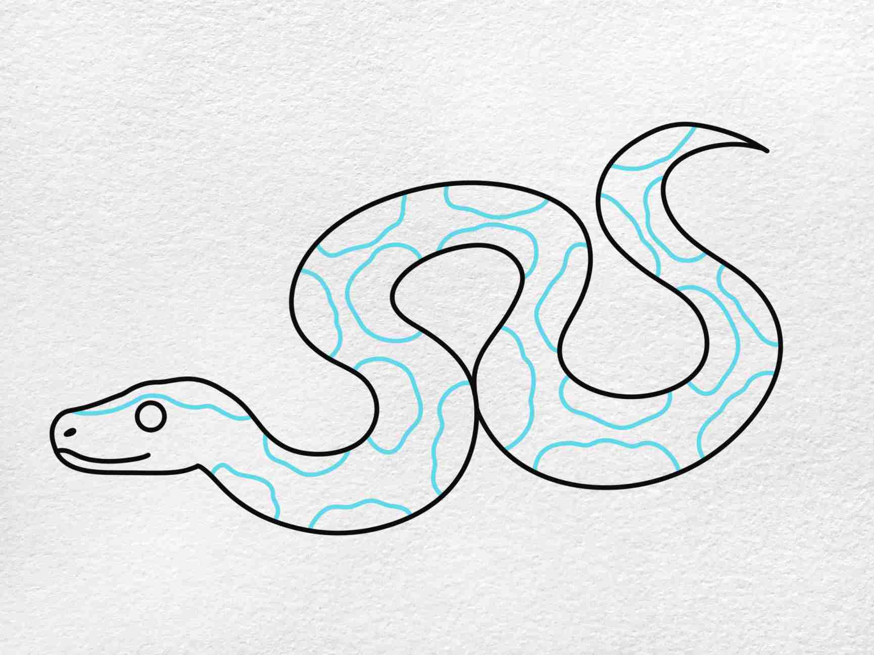 Burmese Python Drawing