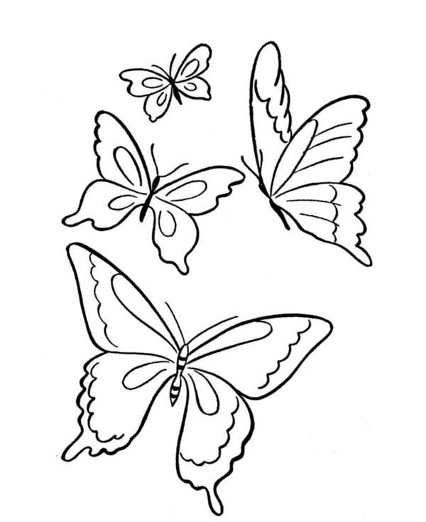 Butterflies Flying Drawing Pic