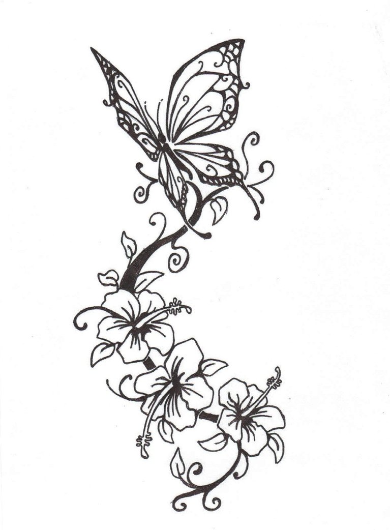 Butterflies and Flowers Drawing Amazing
