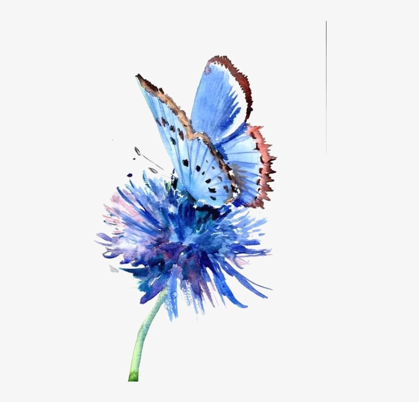 Butterflies and Flowers Drawing Beautiful Art