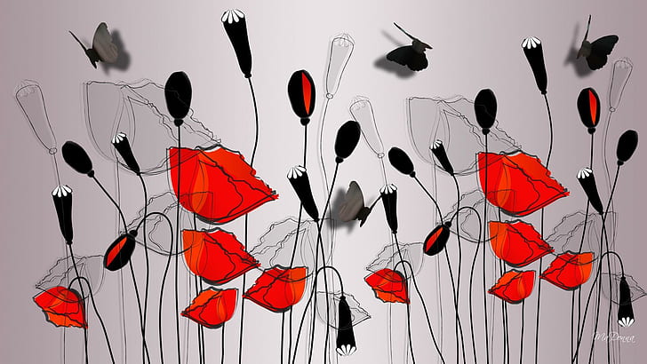 Butterflies and Flowers Drawing Photo
