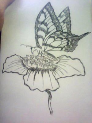 Butterflies and Flowers Drawing Pic