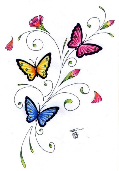 Butterflies and Flowers Drawing Pics