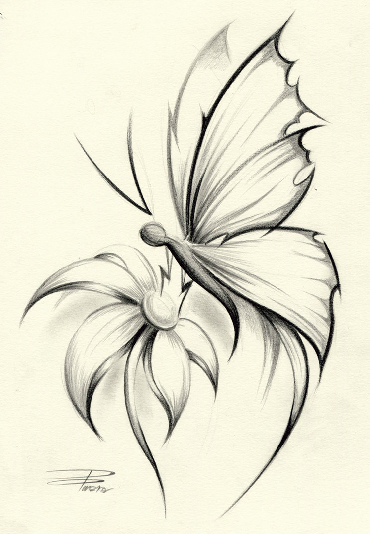Butterfly On Flower Drawings In Pencil Original Design Of A Large Butterfly | Things I Like