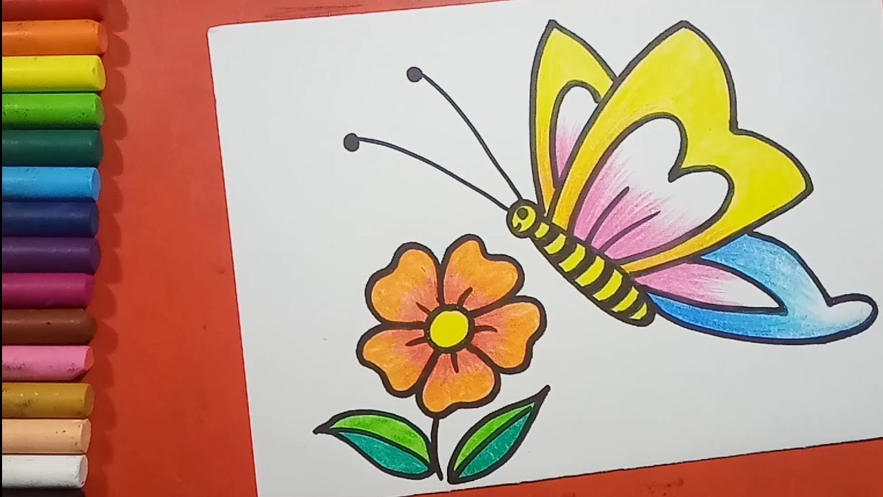 Butterflies and Flowers Drawing Pictures