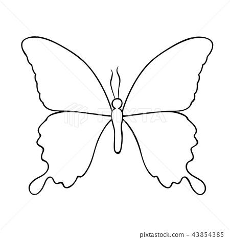 Butterfly Line Drawing Art