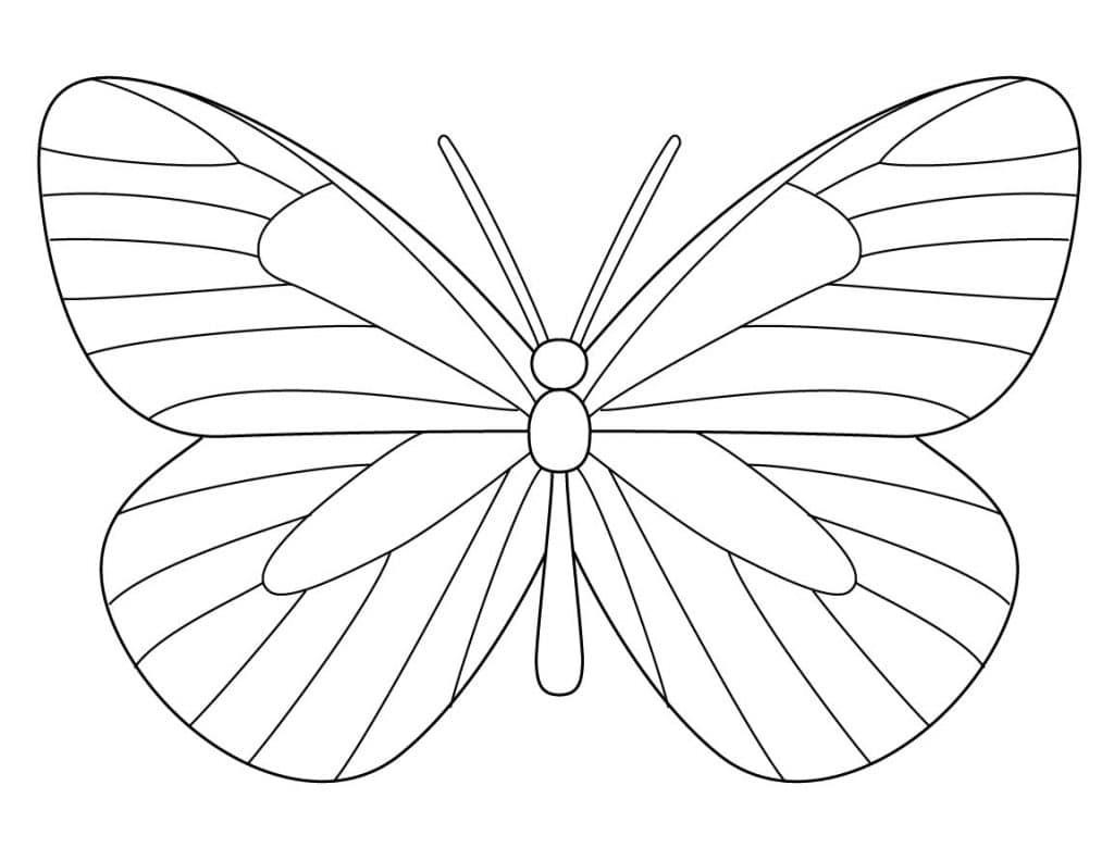 Butterfly Line Drawing Pics