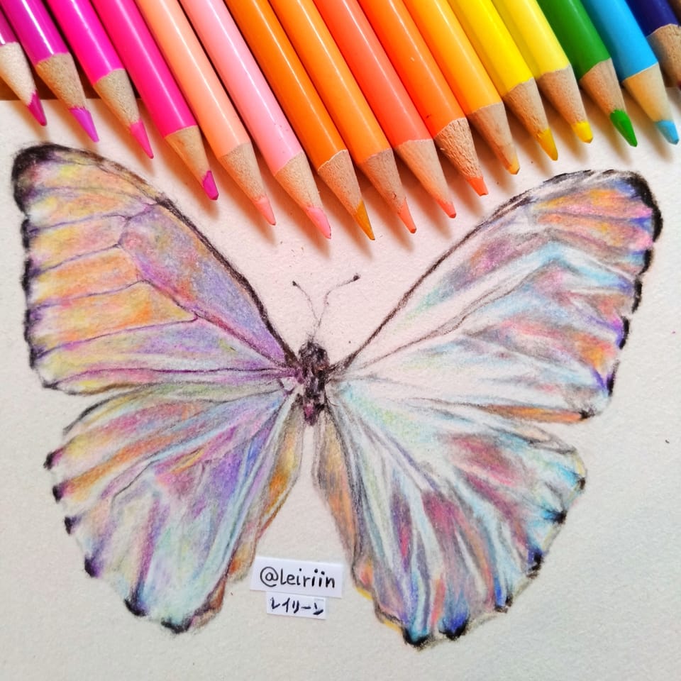 Butterfly Wings Art Drawing