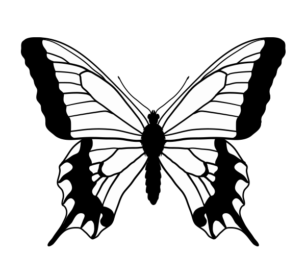 Butterfly Wings Best Drawing