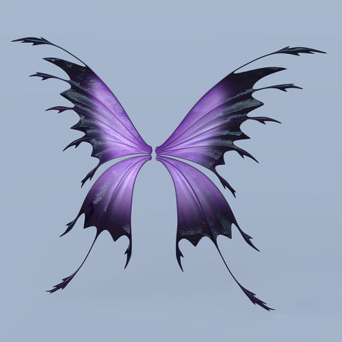 Butterfly Wings Drawing Beautiful Art