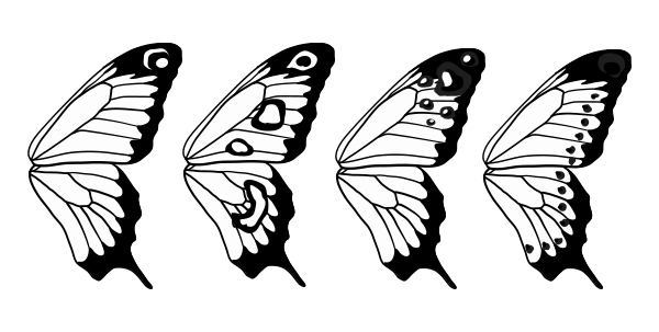 Butterfly Wings Drawing Beautiful Image