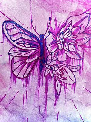 Butterfly Wings Drawing High-Quality