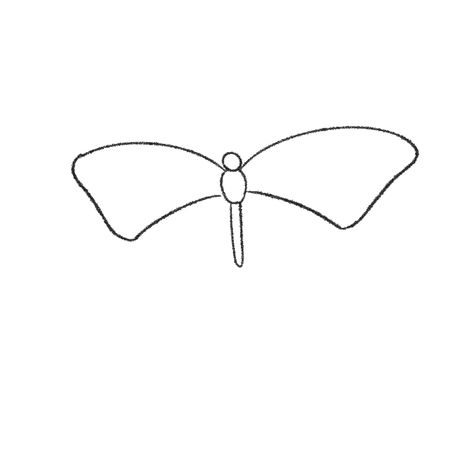 Butterfly Wings Drawing Photos