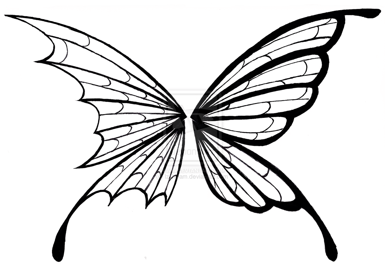 Butterfly Wings Drawing