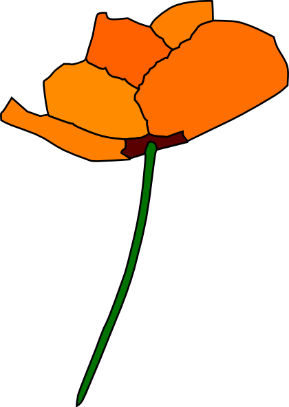 CA Poppy Drawing Pictures